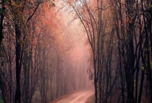 被乌龙悼念名宿:不知该哭还是该笑,被“活埋”让人很有压力.