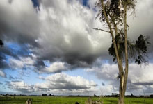 星空体育官网:居莱尔皇马前途未卜,多家豪门“虎视眈眈”.