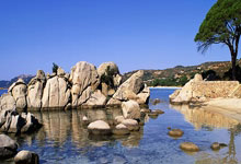 星空体育官网:3场输80分!夺冠热门沦为鱼腩,于德豪跳“扭臀舞”看笑话.